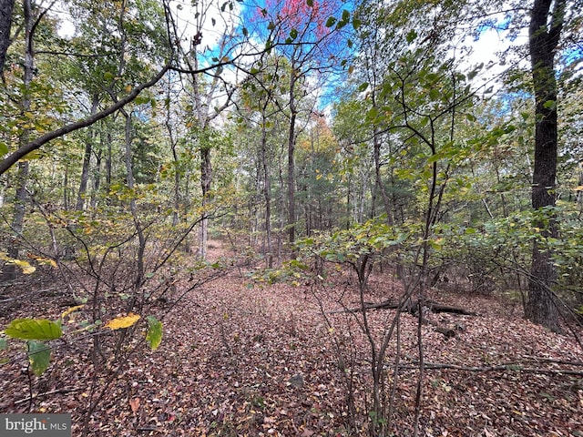 Supinlick Rdg, Mount Jackson VA, 22842 land for sale