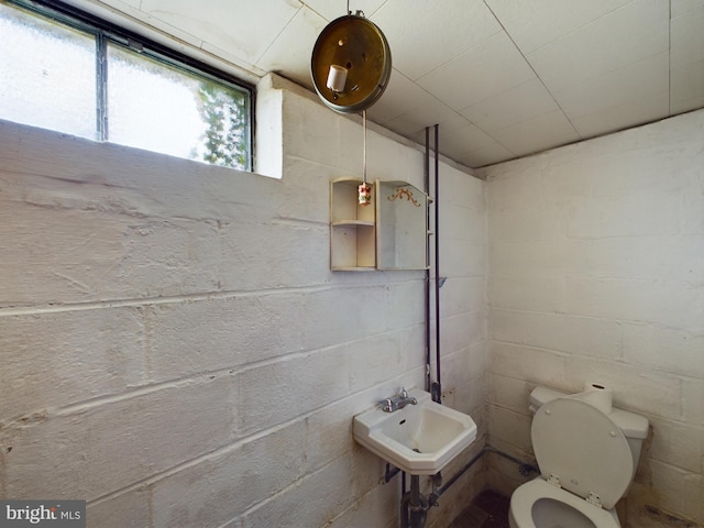 bathroom with sink and toilet