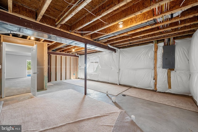 basement featuring electric panel