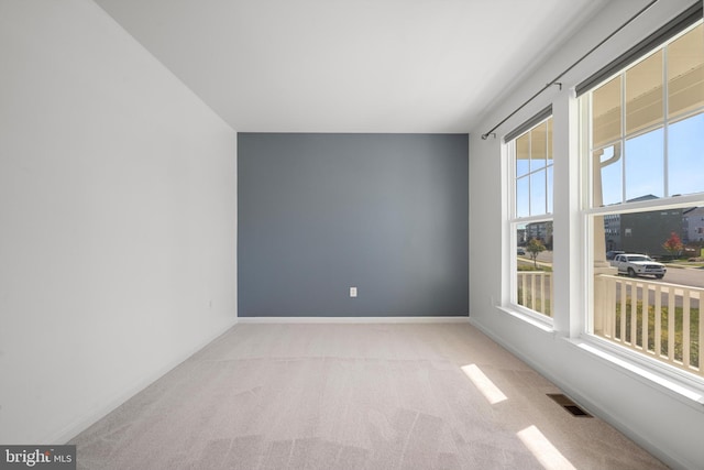 carpeted spare room with a wealth of natural light