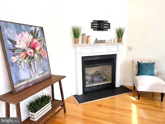 502 Pond Way, Church Hill, MD 21623 - interior space featuring a fireplace with flush hearth and wood finished floors