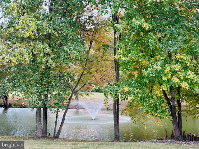 water view