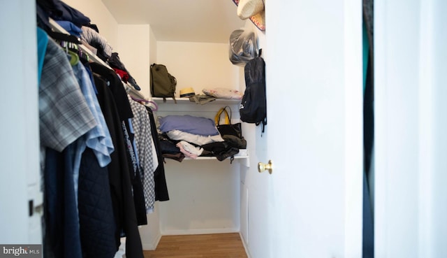 spacious closet featuring light hardwood / wood-style flooring