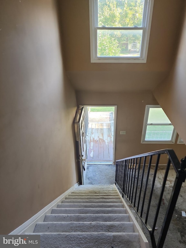 stairway with carpet floors