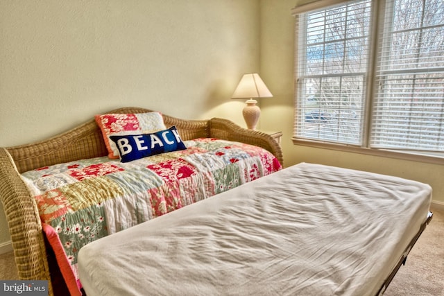 bedroom with carpet floors