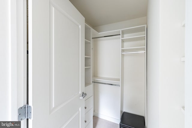 view of closet