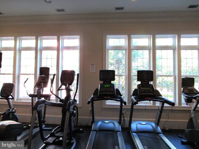 workout area with plenty of natural light and ornamental molding