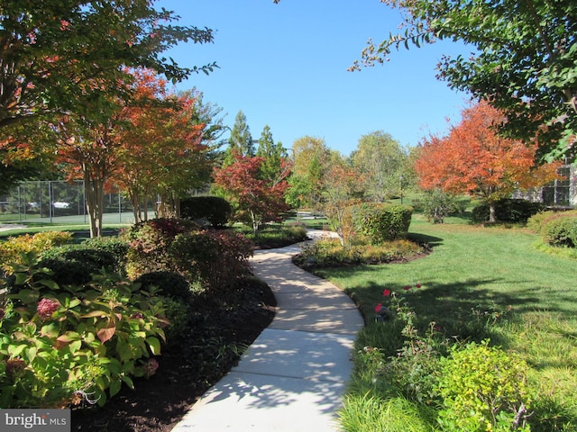 surrounding community featuring a lawn