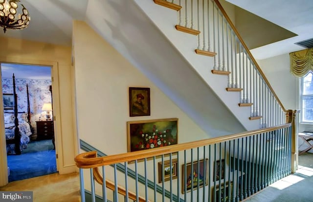 stairs with carpet floors