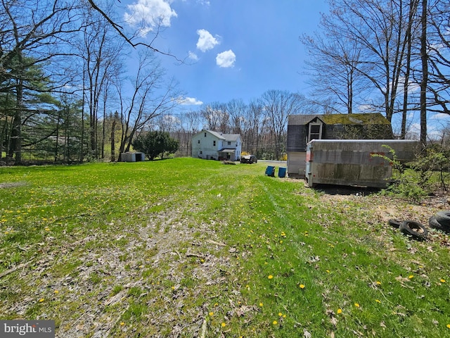 view of yard with a storage shed