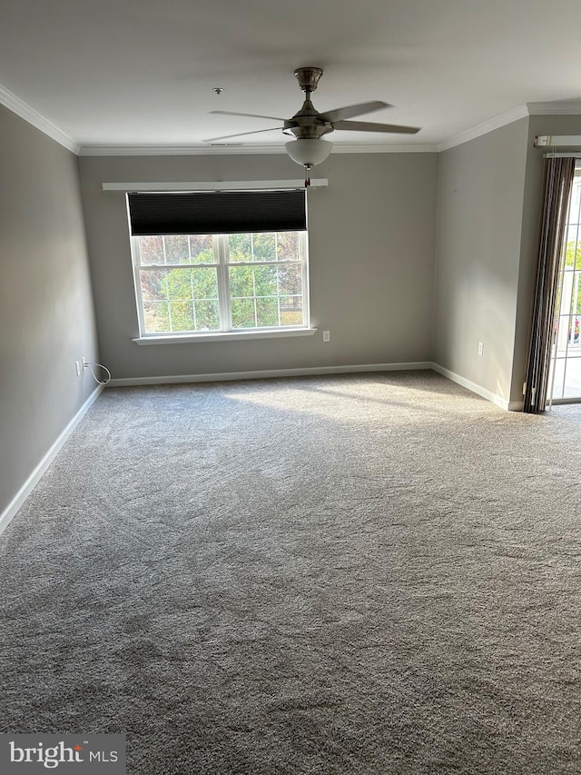 carpeted empty room with crown molding, plenty of natural light, and ceiling fan