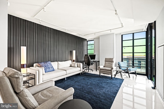 tiled living area featuring attic access, rail lighting, and a wall of windows