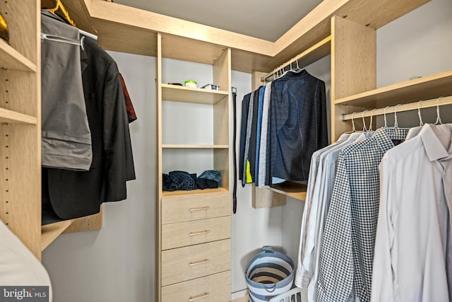view of spacious closet