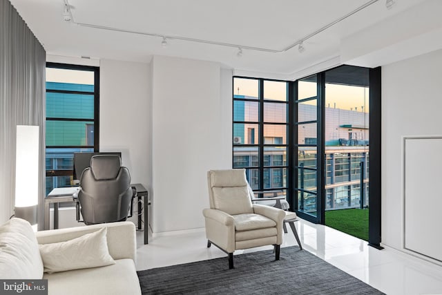 interior space featuring rail lighting, a wealth of natural light, and floor to ceiling windows