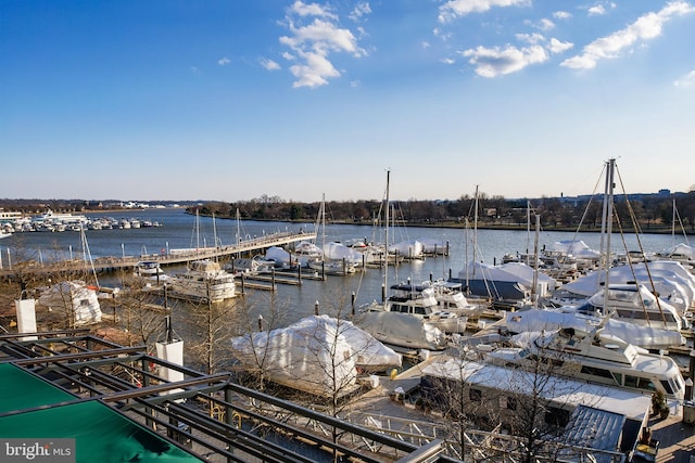 water view featuring a boat dock