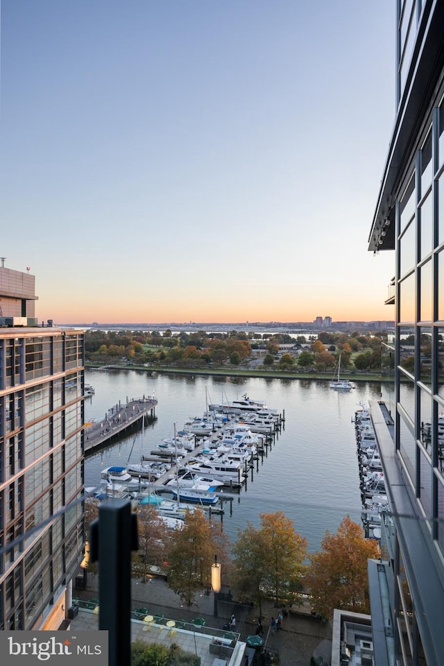 view of water feature with a dock