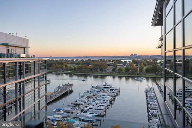 property view of water with a dock