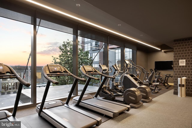 exercise room with a wall of windows