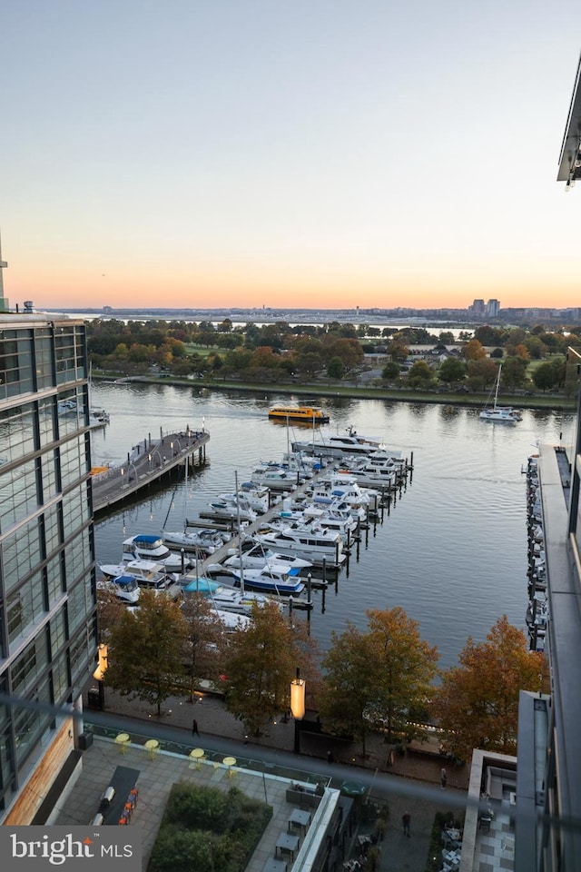 dock area with a water view