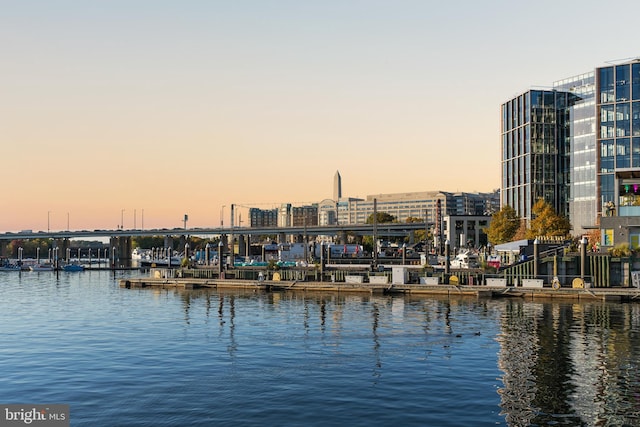 property view of water with a dock