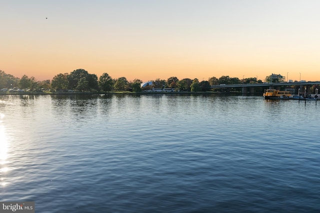 property view of water featuring a boat dock