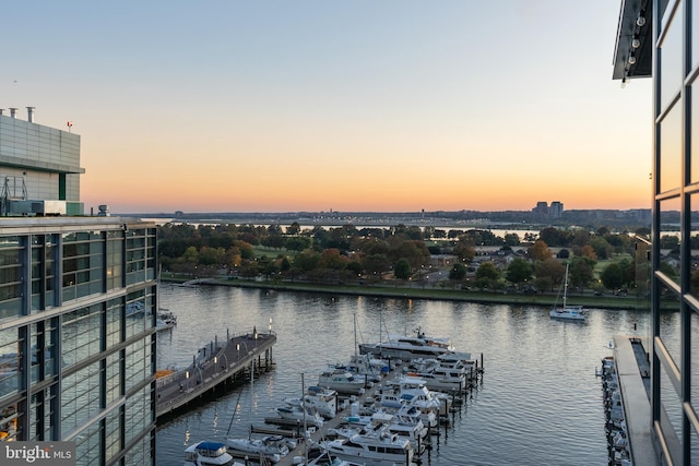 view of water feature with a boat dock