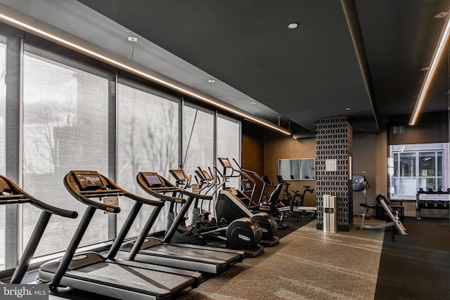 workout area featuring a wealth of natural light