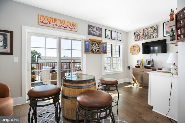 bar featuring dark hardwood / wood-style floors and a wealth of natural light