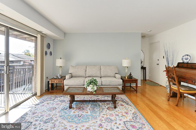 living room featuring wood-type flooring