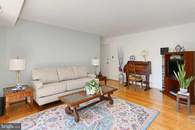 living room with light wood-type flooring