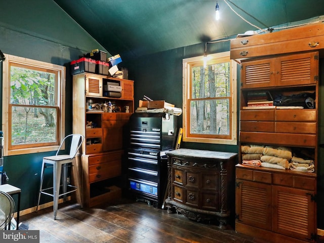 misc room featuring dark wood-type flooring, lofted ceiling, and plenty of natural light