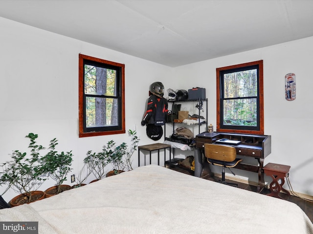 bedroom featuring multiple windows