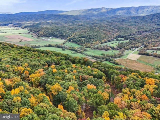 drone / aerial view featuring a mountain view