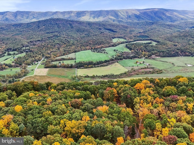 birds eye view of property featuring a mountain view