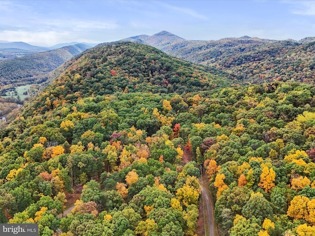 property view of mountains