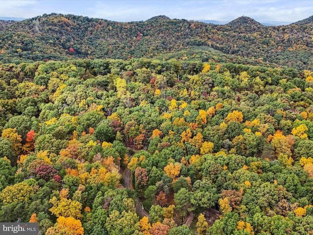 property view of mountains