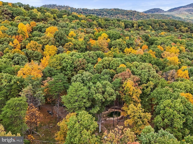 bird's eye view with a mountain view