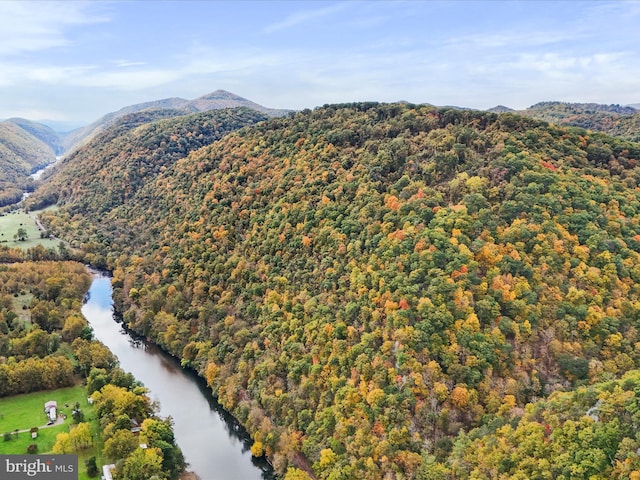 view of mountain feature with a water view