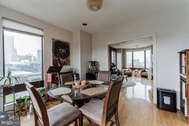 dining area featuring light hardwood / wood-style floors