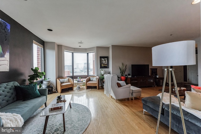 living room with hardwood / wood-style flooring