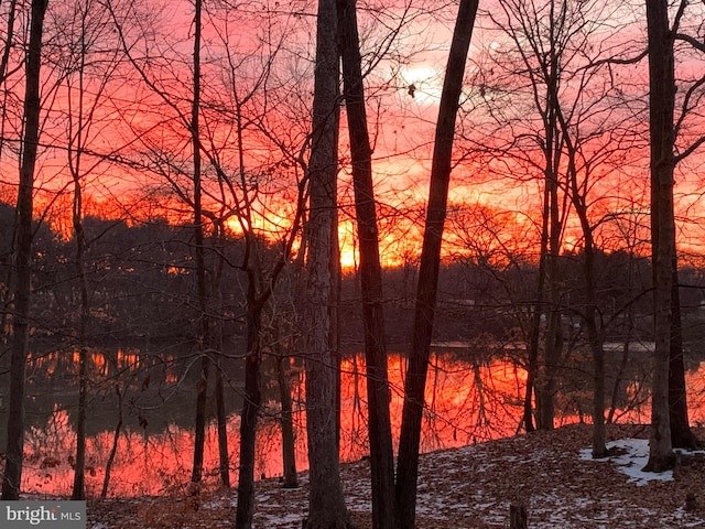 view of nature at dusk