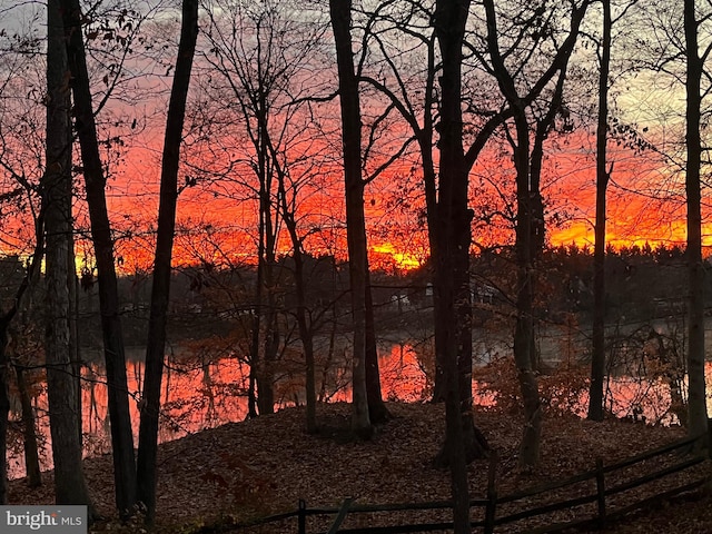 view of nature at dusk