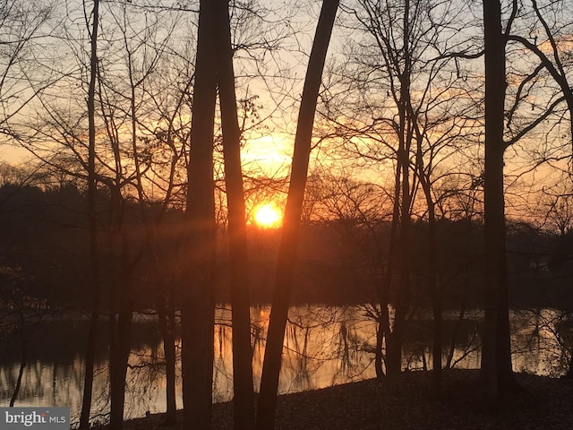 property view of water