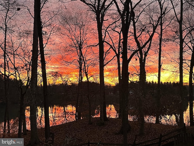 view of nature at dusk