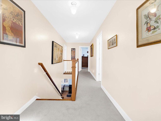 hallway with carpet floors