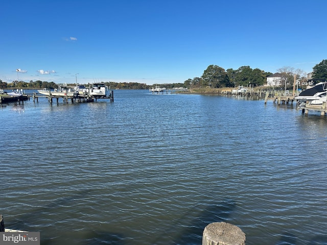 dock area featuring a water view