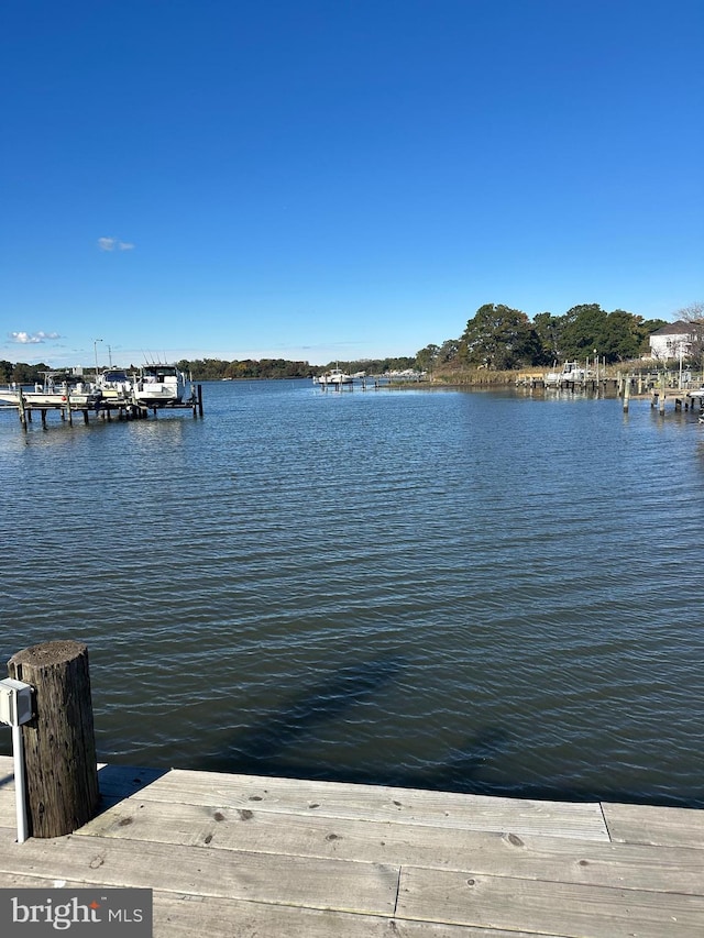 dock area with a water view