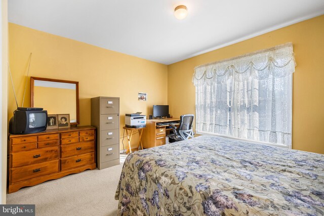 bedroom featuring carpet