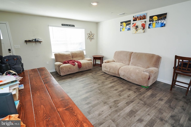 living room featuring wood-type flooring