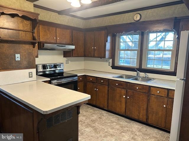 kitchen featuring dark brown cabinetry, extractor fan, stainless steel range with electric stovetop, and sink